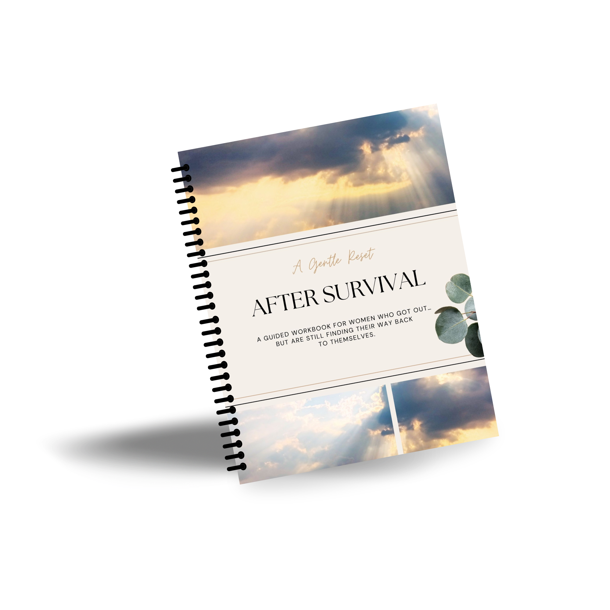 After Survival Workbook Cover Image with Wires